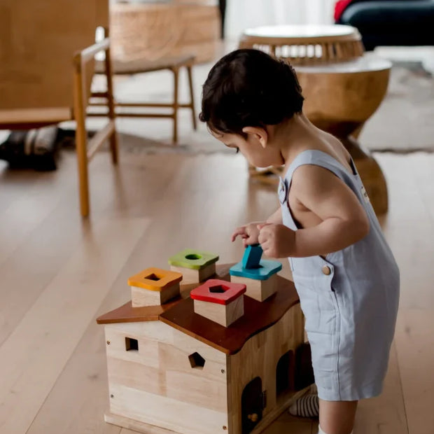 QToys Australia (USA) Sorting Cottage & Play House